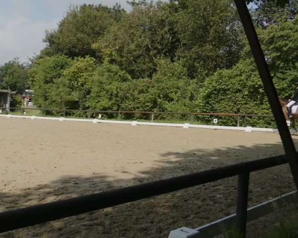 Reitturnier Marienheide-Kempershöhe 2024