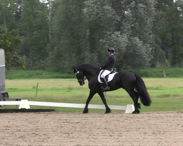 Reitturnier Gallinchen 2024