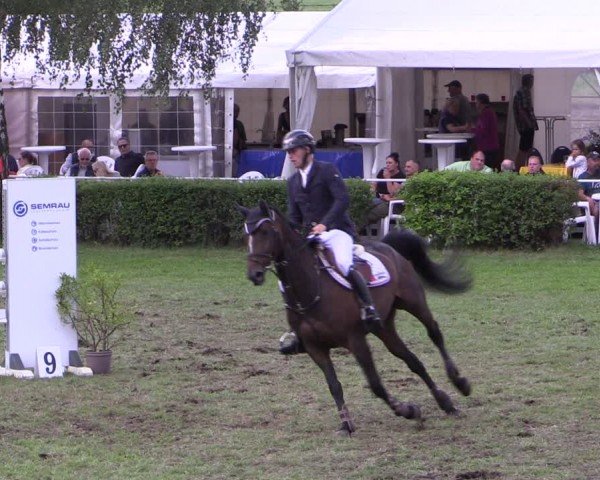 Reitturnier Etingen 2024
