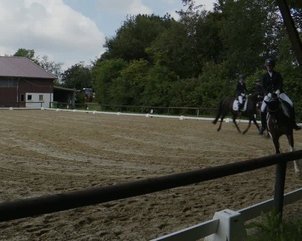 Reitturnier Marienheide-Kempershöhe 2024