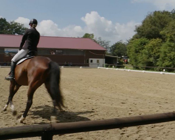 Reitturnier Marienheide-Kempershöhe 2024