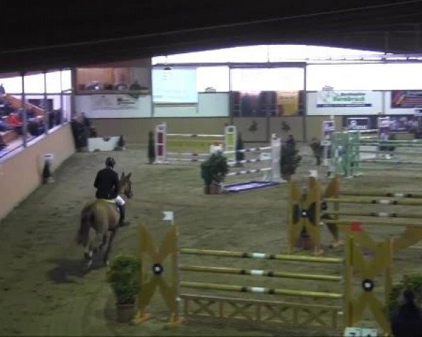 Ravensberger Pferdetage 2013