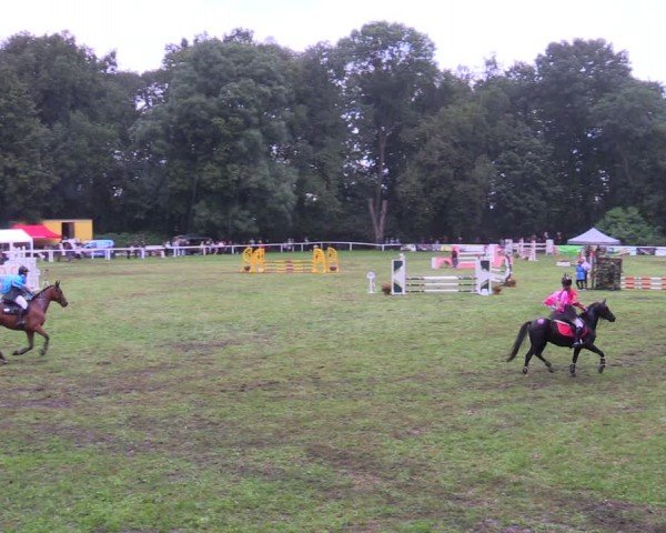 Reitturnier Gorgast 2024