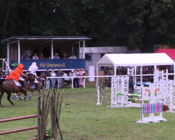 Reitturnier Gorgast 2024