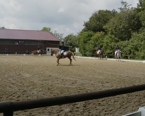 Reitturnier Marienheide-Kempershöhe 2024