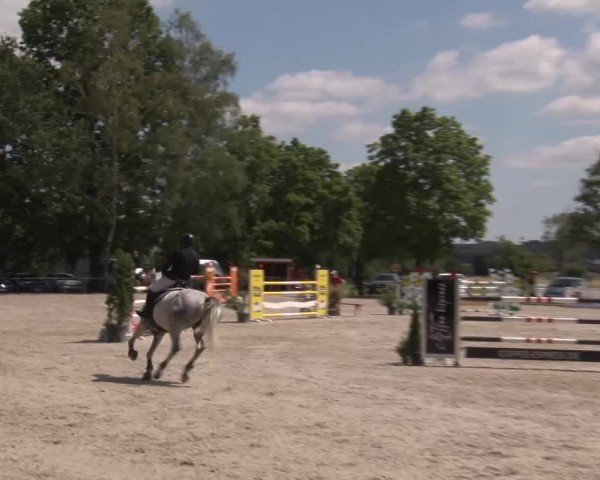 Reitturnier Rot am See Musdorf 2024