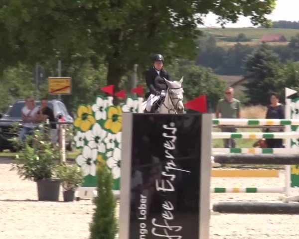 Reitturnier Rot am See Musdorf 2024
