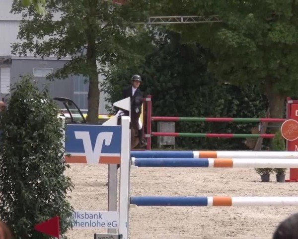 Reitturnier Rot am See Musdorf 2024