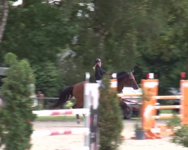Reitturnier Rot am See Musdorf 2024