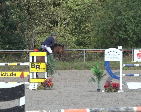 Reitturnier Bad Wildungen 2024