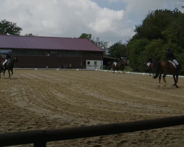 Reitturnier Marienheide-Kempershöhe 2024