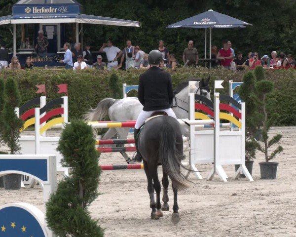 Reitturnier Vlotho-Exter 2024