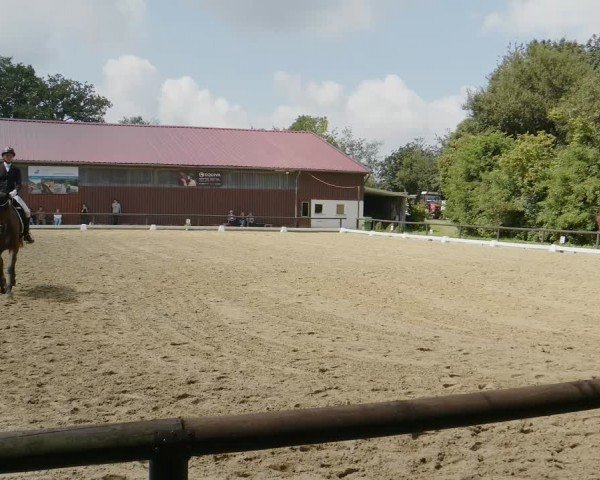 Reitturnier Marienheide-Kempershöhe 2024