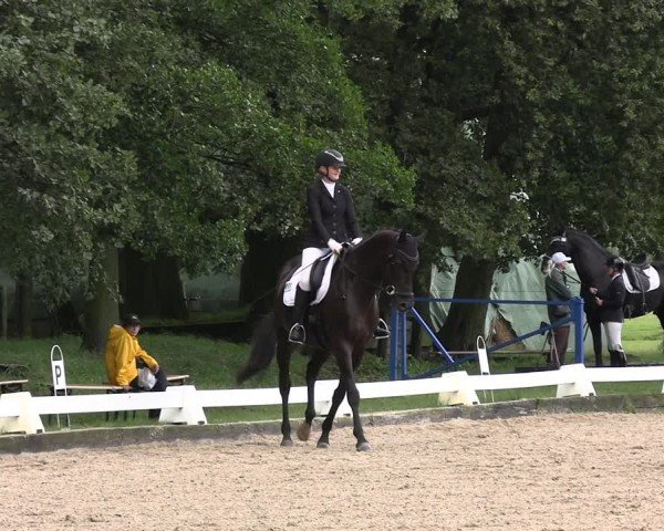 Reitturnier Gallinchen 2024