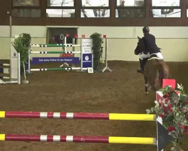 Reitturnier Zoltingen 2013