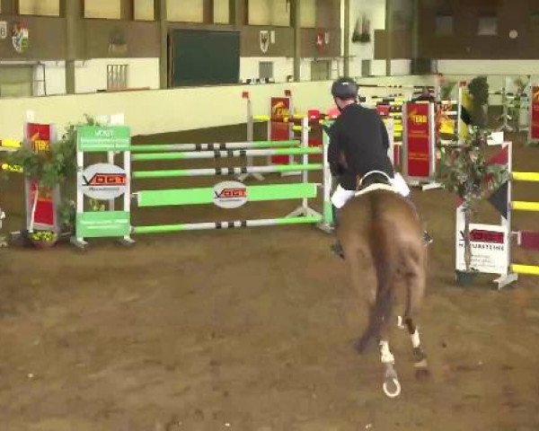 Reitturnier Zoltingen 2013