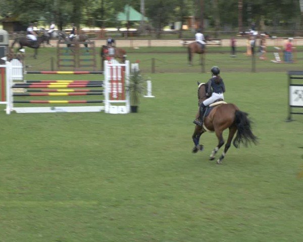 Reitturnier Gallinchen 2024