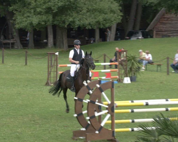 Reitturnier Gallinchen 2024