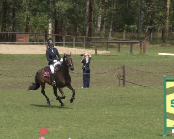 Reitturnier Gallinchen 2024
