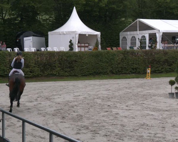 Reitturnier Vlotho-Exter 2024