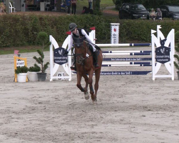 Reitturnier Vlotho-Exter 2024