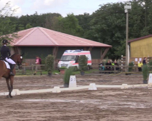 Reitturnier Altlandsberg 2024