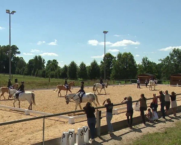 Reitturnier Altentrüdingen/Mfr. 2024
