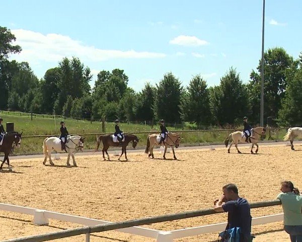 Reitturnier Altentrüdingen/Mfr. 2024