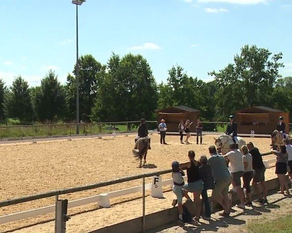 Reitturnier Altentrüdingen/Mfr. 2024