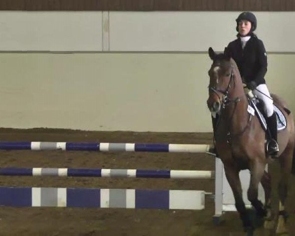 Reitturnier Zoltingen 2013