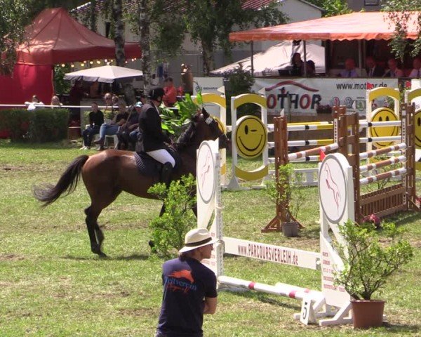 Reitturnier Etingen 2024