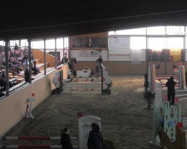 Ravensberger Pferdetage 2013