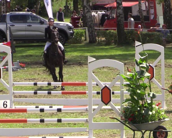 Reitturnier Etingen 2024