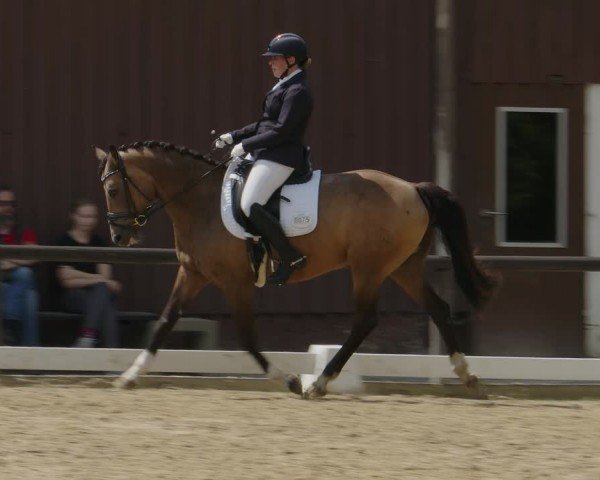 Reitturnier Marienheide-Kempershöhe 2024