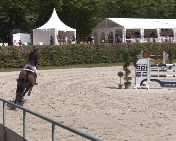 Reitturnier Vlotho-Exter 2024