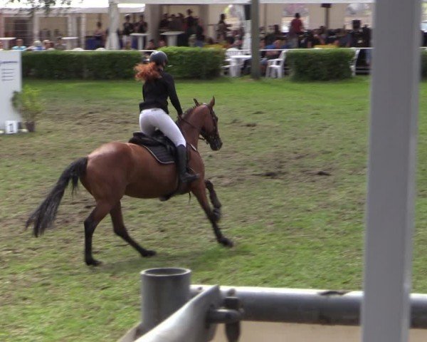 Reitturnier Etingen 2024