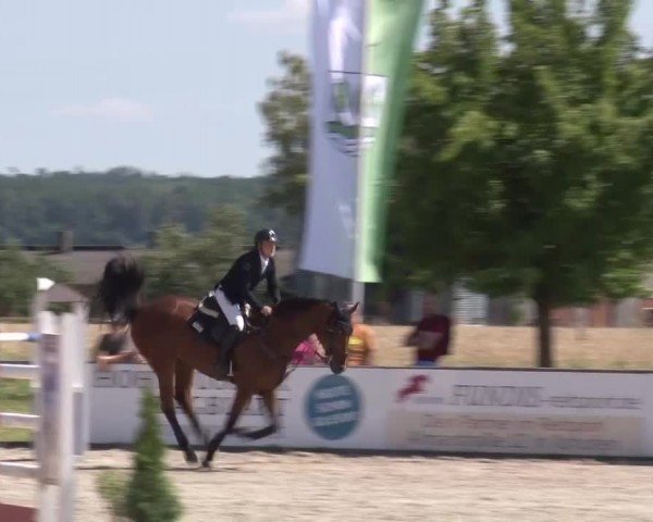 Reitturnier Rot am See Musdorf 2024