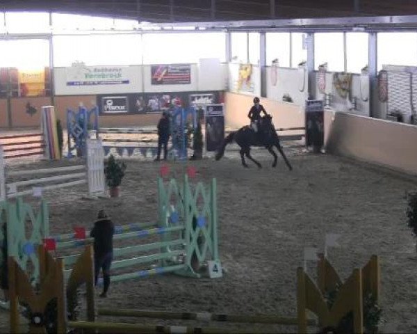 Ravensberger Pferdetage 2013