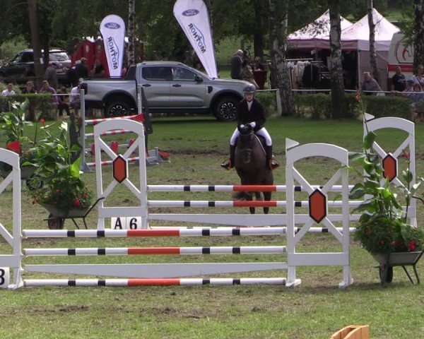 Reitturnier Etingen 2024
