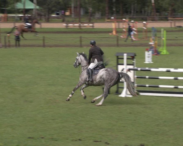 Reitturnier Gallinchen 2024