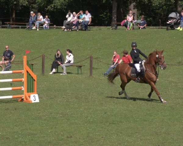 Reitturnier Gallinchen 2024