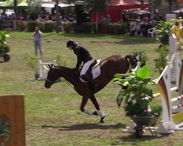 Reitturnier Etingen 2024