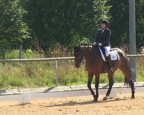 Reitturnier Altentrüdingen/Mfr. 2024