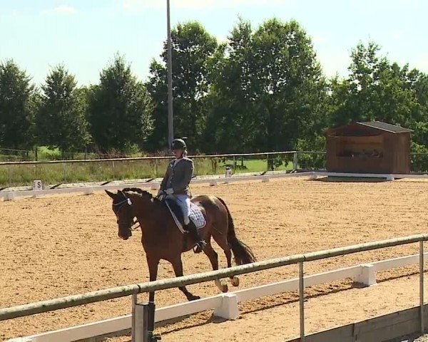 Reitturnier Altentrüdingen/Mfr. 2024