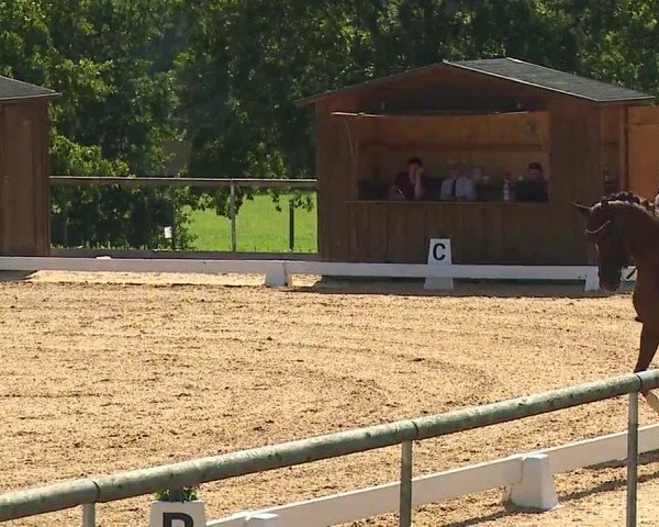 Reitturnier Altentrüdingen/Mfr. 2024