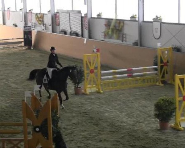 Ravensberger Pferdetage 2013