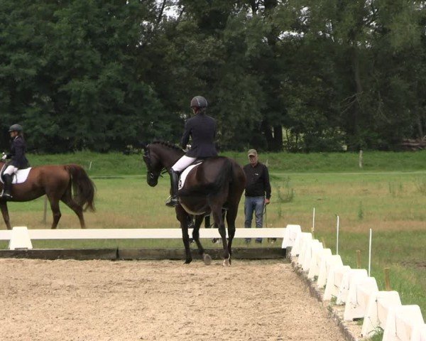 Reitturnier Gallinchen 2024