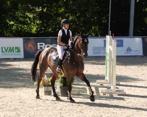 Reitturnier Karlsfeld/Obb. 2024