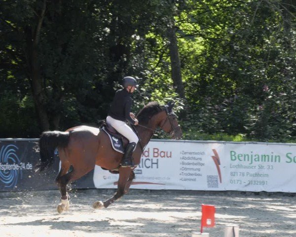 Reitturnier Karlsfeld/Obb. 2024