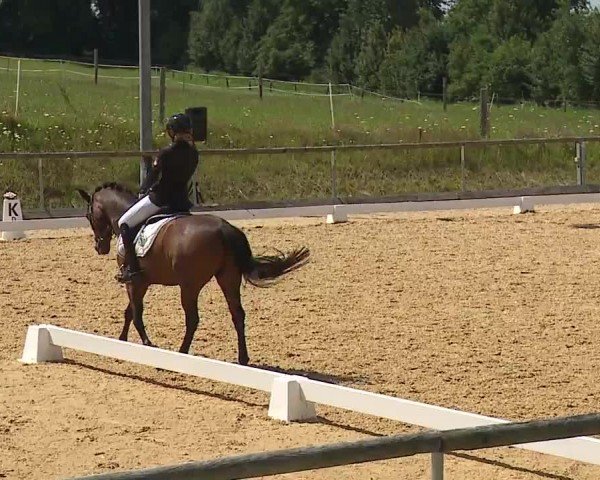 Reitturnier Altentrüdingen/Mfr. 2024